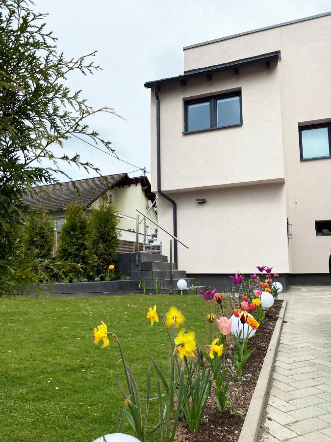 Sonnenlay Lounge - Studio & Ferienhaus Brauneberg Zewnętrze zdjęcie